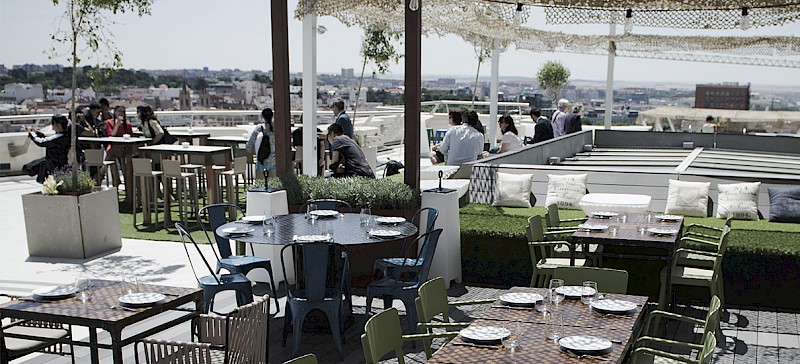 bellas 5